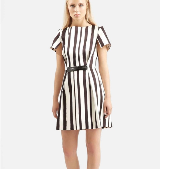Topshop Dresses & Skirts - Topshop Shoto A Line Dress